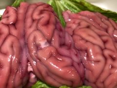 -海底捞火锅(公益西桥店)