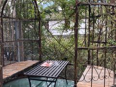 -喵屿·大理花园猫咖