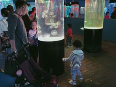 -苏州海洋馆