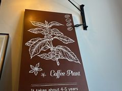 -Vanilla Specialty Coffee(八大关店)