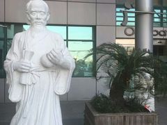 -上海市普陀区中医医院