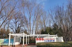 -酷酷兔少儿拓展天地