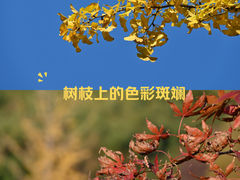 -浙江科技大学(小和山校区)