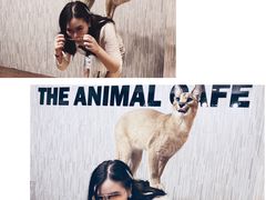 -TrueLove @ Neverland (Husky Cafe)