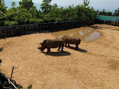 -西霞口神雕山野生动物世界
