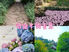 -昆明滇池国家级风景名胜区西山景区