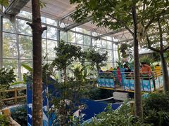 -南宫五洲植物乐园