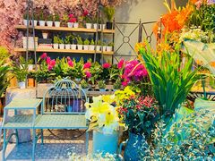 -花开餐厅(环湖中路店)