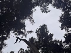 -七曲山风景区