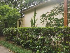 -共青国家森林公园-售票处