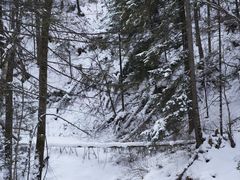 -峡谷浮石林景区