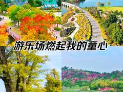 -南京银杏湖乐园