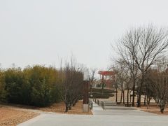 -大望京公园