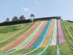 -衢州飞鸿滑草场