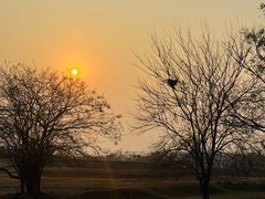 -盘龙城国家考古遗址公园