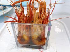 -阿毛饭店·正宗宁波菜(儿童公园旗舰店)