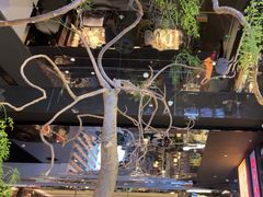 -桂满陇·海市蜃楼·黑金(国金店)