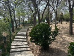 -南翠屏公园