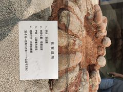 -大同煤炭博物馆