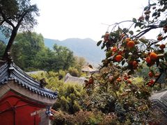 -潭柘寺景区