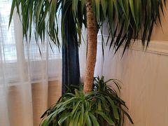 -观盐·盐帮菜(官园桥店)