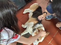 -阿尔法海鲜排档(爱琴海店)