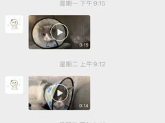 -特一安24小时宠物医院·骨科·中兽医