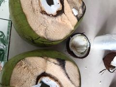 -东郊椰林