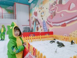 -第五极儿童乐园