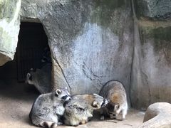 -杭州野生动物世界
