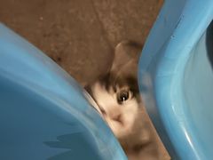 -清真铁志明腊牛羊肉