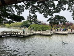 -江心屿景区