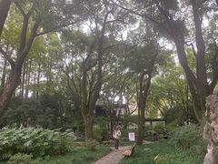 -上海醉白池公园