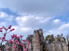 -秀丽东方