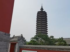 -西海子公园