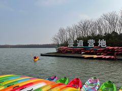 -上海海湾国家森林公园