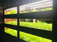 -Bistro181 (大渔湾店)