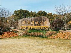 -新江湾城公园