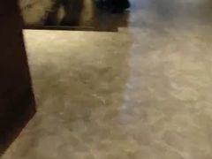 -上海圣诺亚皇冠假日酒店·诺亚厨房