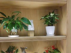 -荷花亭·湖北融合菜(十堰武商MALL店)