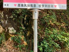 -黄山翡翠谷景区