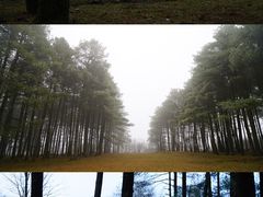 -石棉县孟获城