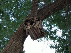 -北京西山国家森林公园