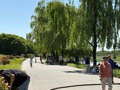 -洨河生态公园