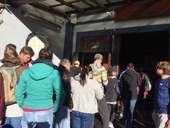 -Fergburger(皇后镇店)