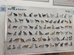 -宠福鑫康馨动物医院·骨科·眼科