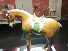 -宁夏博物馆