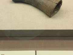 展品-北京大学赛克勒考古与艺术博物馆