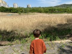 -济南国际园博园