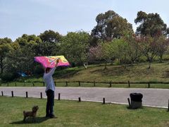 -尚贤河湿地